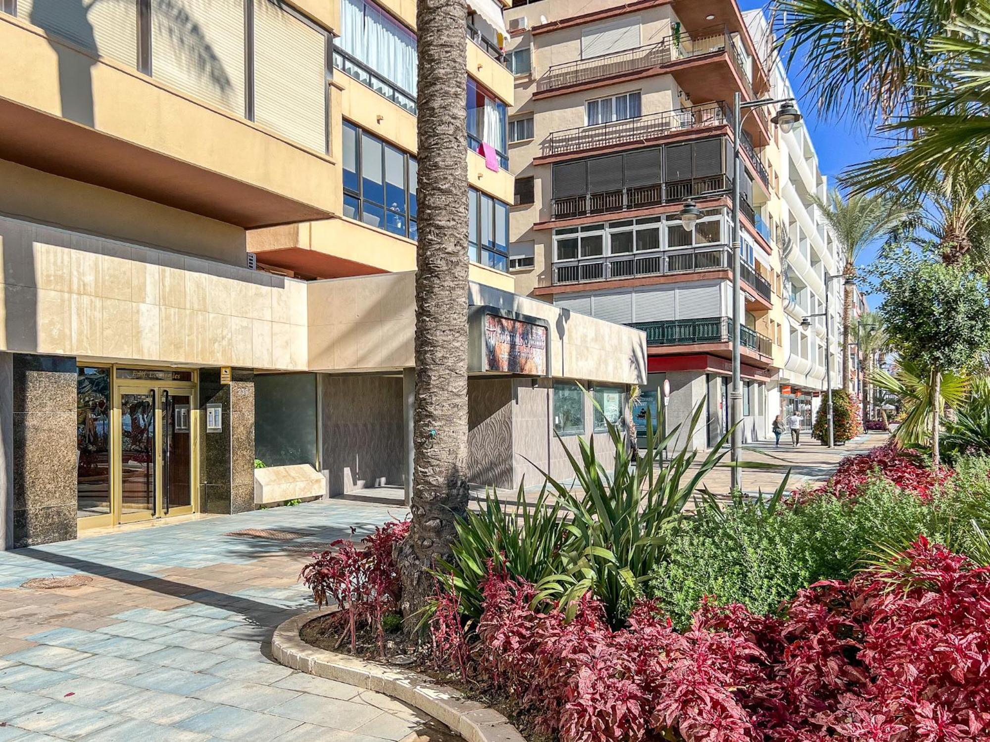 Hanami Avenida De Espana Εστεπόνα Εξωτερικό φωτογραφία